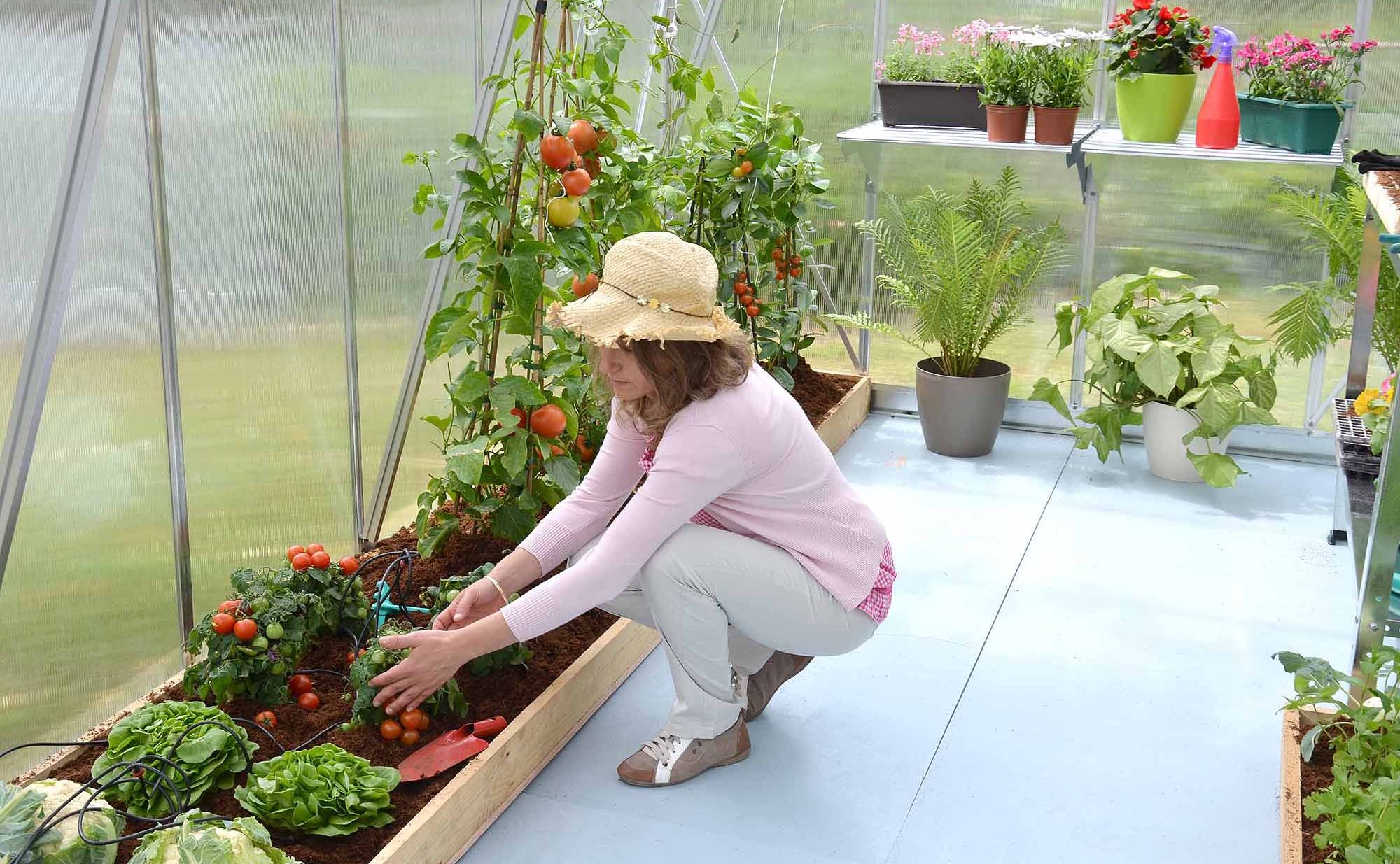 RebuildGarden Indoor Vegetable Gardening for Fresh Veggies By Hydroponics System
