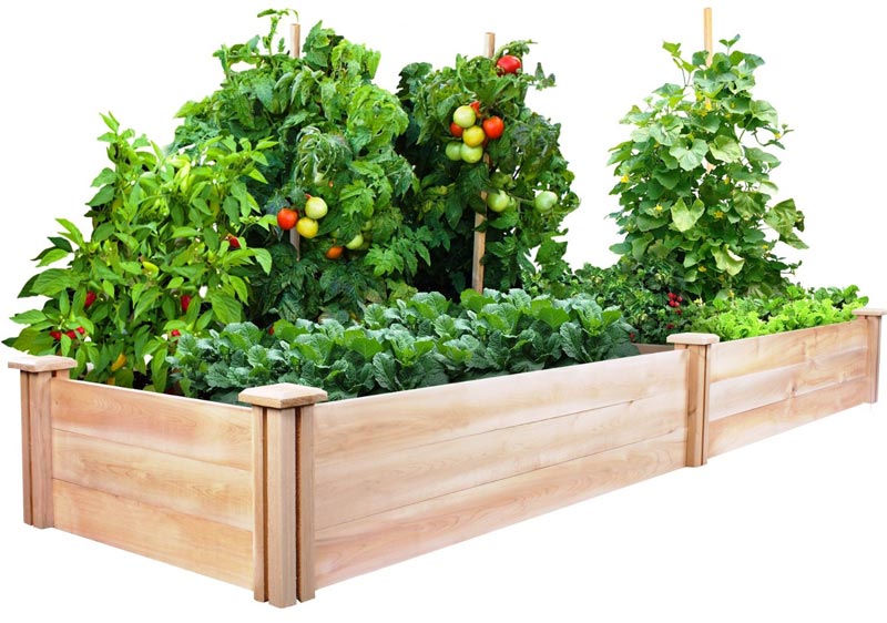 Raised Box Garden DIY Increased Garden Systems You Can Really Construct
