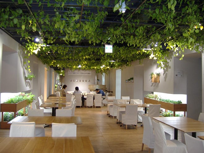 The company's canteen is also planted a lot of trees.