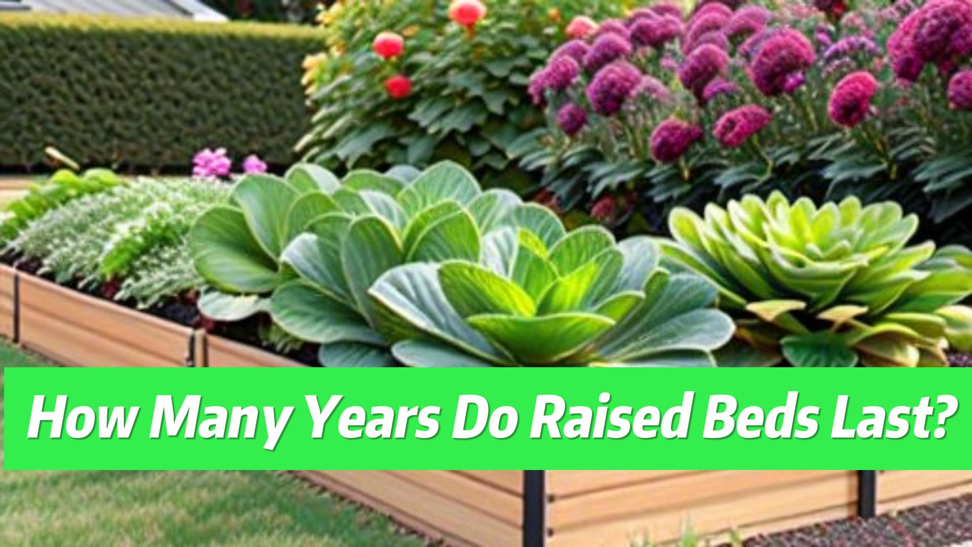 How many years do raised beds last?